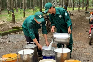 Việt Nam có lợi ra sao khi lập sàn giao dịch 'vàng trắng'?