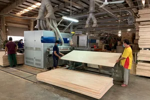 Doanh nghiệp Việt đã lạc quan hơn nhưng vẫn còn nhiều vất vả