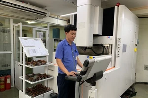 Việt Nam sẽ có các chaebol như Hàn Quốc?