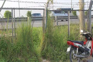 Hàng rào cao tốc bị cắt phá, tai nạn rình rập