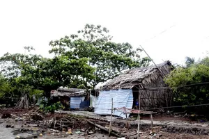 Cà Mau: Bờ biển Tây sạt lở rất nghiêm trọng