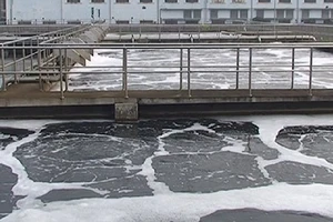 Đề xuất xây nhà máy 180 triệu USD xử lý ô nhiễm cho TP.HCM