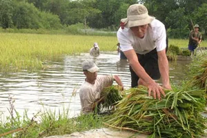 Thủ tướng chỉ đạo ứng phó lũ lụt trên cả nước