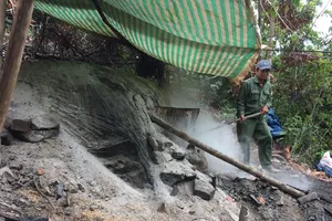 phá hủy lò than phá rừng