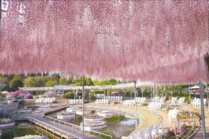 Các địa danh lung linh tưởng chừng chỉ có ở trên phim