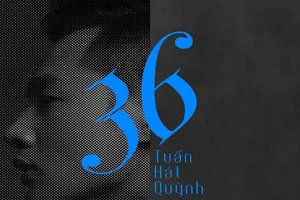 Đức Tuấn hát ‘Mùa hạ cuối cùng’ của Trần Lê Quỳnh