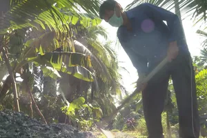 Ngoài 70 tuổi, hai cụ ông vẫn phải phụ hồ, hái dừa thuê để nuôi cháu