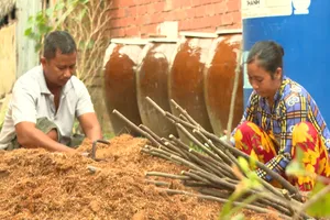 Hai gia đình nghèo đau đáu về ước mơ phát triển nghề ươm cây giống