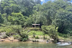 Thu 1.200 tỉ từ bán 'không khí' và cơ hội mới của Việt Nam