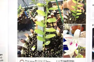 Bóc mẽ kịch bản lan đột biến 'nóng' trở lại