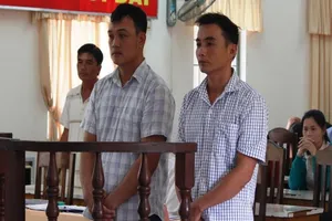 Bênh cha, anh em rể dắt nhau vào tù 