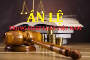 Án lệ được áp dụng sau 30 ngày thay vì 45 ngày