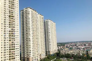 ảnh minh họa: TP