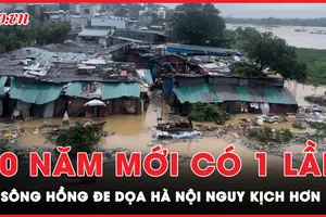 Cập nhật lũ sông Hồng: Đê tả sông Hồng báo động 3, nước lũ lênh láng