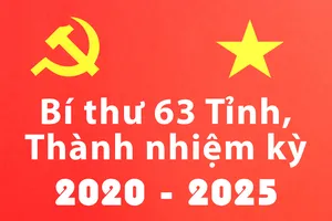 Infographic: Chân dung 63 bí thư tỉnh thành nhiệm kỳ 2020-2025