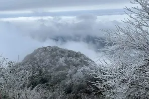 Đỉnh núi Phia Oắc (Cao Bằng) phủ trắng băng tuyết. Ảnh: TTXVN