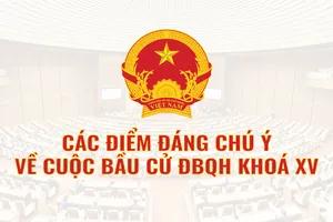 Infographic: Thông tin đáng chú ý về bầu cử Quốc hội khóa XV