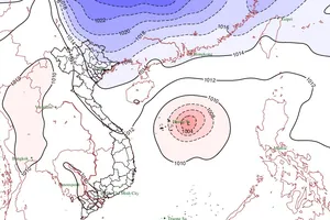 Nguồn ảnh: NCHMF