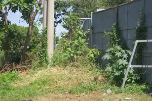 Tìm thân nhân thanh niên tử vong có hình xăm mặt người trên cánh tay phải