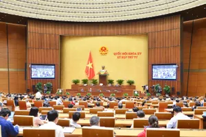 'Giá mà không lãng phí thì lương chắc đã tăng lâu rồi'