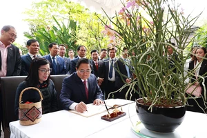 Singapore đặt tên loài hoa lan mới theo tên Thủ tướng Phạm Minh Chính và phu nhân