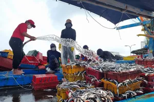 Thủ tướng phê bình nhiều địa phương có tàu cá vi phạm vùng biển nước ngoài