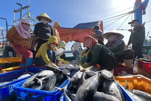 Việt Nam có nhiều cải thiện tích cực trong gỡ 'thẻ vàng' IUU của EC