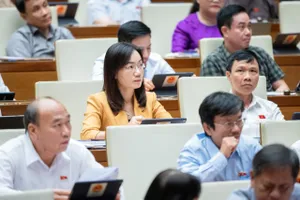 Nóng tranh luận về 2 luật ngân sách và đầu tư công