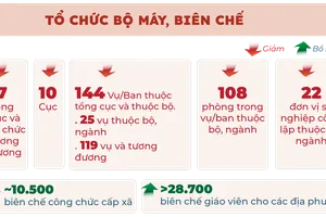 Đến năm 2023, đã giảm 17 tổng cục, 10 cục, tinh giản 7.151 người