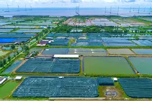 Chủ tịch Phạm Văn Thiều: Bạc Liêu phát triển hướng ra biển, làm giàu từ kinh tế biển