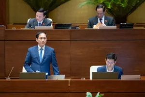 Bộ trưởng Bộ Ngoại giao Bùi Thanh Sơn (đứng) trả lời chất vấn các đại biểu vào chiều 18-3.