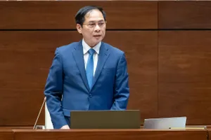 Bộ Ngoại giao thực hiện 6 giải pháp sau vụ 'chuyến bay giải cứu' 