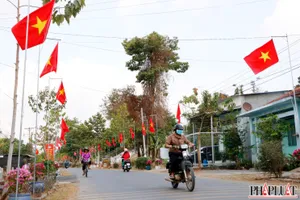 Bình Dương: Đường cờ Tổ Quốc rực rỡ tại Cù lao Rùa