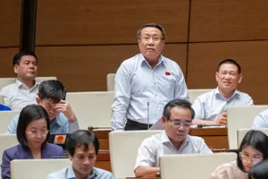 Đại biểu Hà Sỹ Đồng: Có tình trạng nhiều ngành như ô tô 'tát nước theo mưa'