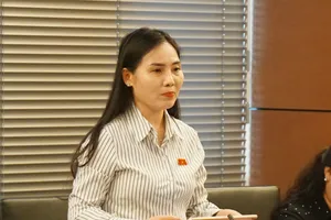 Đại biểu: Nhiều nhà đầu tư kiệt quệ vì chờ giải phóng mặt bằng