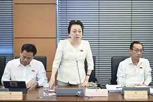 Đại biểu Phạm Khánh Phong Lan: 'Không phải cứ có tiền là có văn hóa'