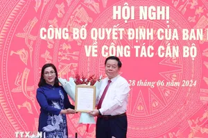 Bà Đinh Thị Mai làm Phó Trưởng Ban Tuyên giáo Trung ương