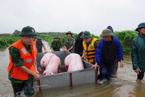Thủ tướng có công điện khẩn về an toàn đê điều trên các sông ở Bắc Bộ