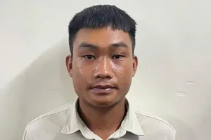 Mua bằng lái giả rồi lái xe gây tai nạn liên hoàn trên quốc lộ 51