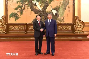 Thường trực Ban Bí thư Lương Cường hội kiến Tổng Bí thư, Chủ tịch nước Tập Cận Bình