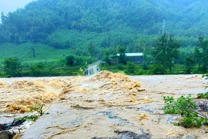 Bình Định cảnh báo lũ quét, sạt lở tại nhiều địa phương
