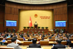 Thông qua Luật Điện lực (sửa đổi), bổ sung về điện hạt nhân, điện gió ngoài khơi...