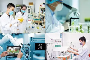 Sẽ lập Hội đồng tư vấn cấp TP.HCM về phát triển khoa học công nghệ, đổi mới sáng tạo