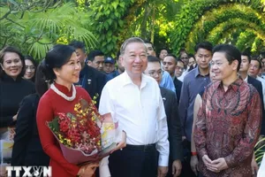 Singapore đặt tên cho loài hoa phong lan mới là 'Papilionanda Tô Lâm Linh Ly'