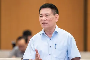 Phó Thủ tướng Hồ Đức Phớc: Nguồn thu từ tiền sử dụng đất là của quốc gia 