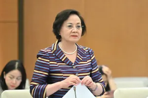 Bộ trưởng Phạm Thị Thanh Trà nói về 'cái khó' nếu HĐND cấp tỉnh không được phân cấp