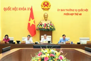 Đề xuất: Không cấm doanh nghiệp có vốn nhà nước đầu tư bất động sản