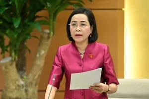 Chủ tịch và phó chủ tịch HĐND cấp tỉnh do Ủy ban Thường vụ Quốc hội chỉ định 
