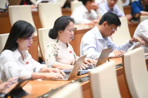 Nhắc đến Vân Đồn, TP.HCM, đại biểu đề xuất nghiên cứu Luật Khu thương mại tự do 