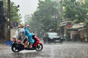 TP.HCM yêu cầu ứng trực 24/24, sẵn sàng ứng phó bão số 3